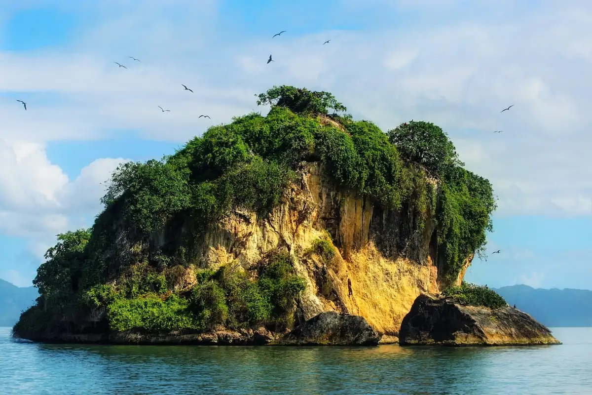 Islote de roca cubierto de vegetación en la bahía de San Lorenzo, en el parque nacional Los Haitises, con aves volando alrededor