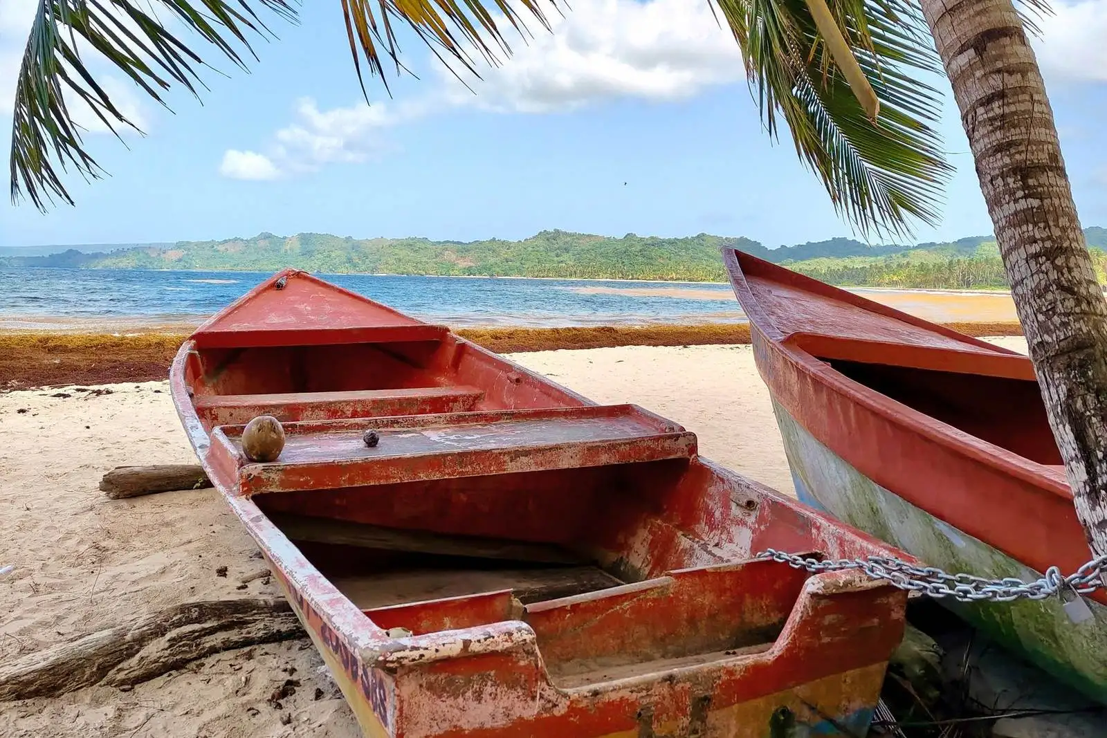 Samaná y Las Terrenas