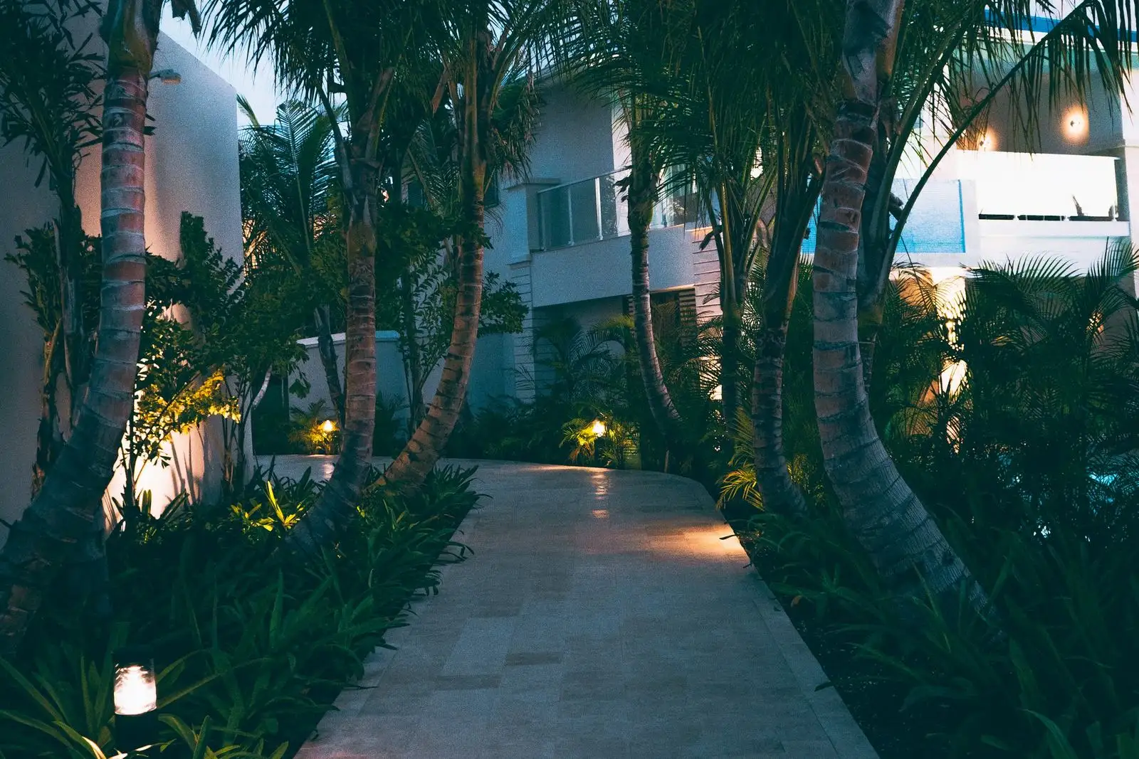 Camino iluminado entre palmeras hacia la entrada de un hotel en Cap Cana